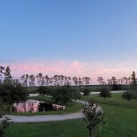 The JJ Ranch ico