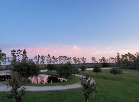 The JJ Ranch