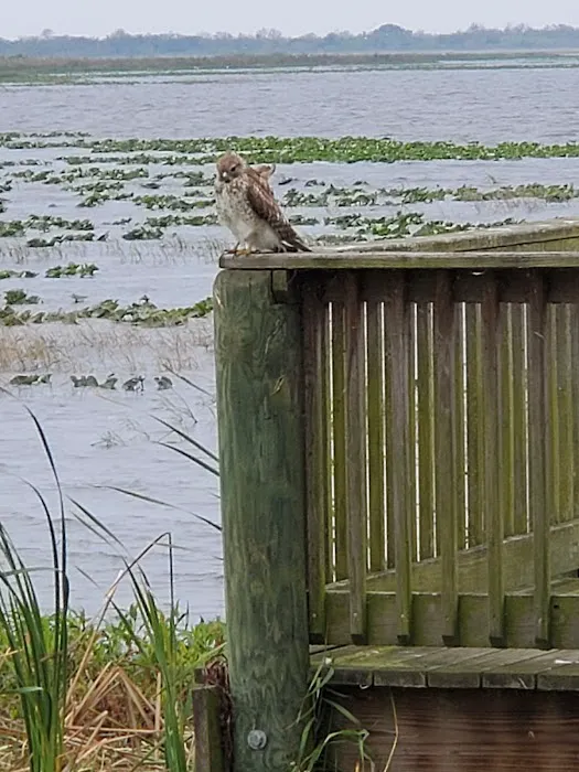 Joe Overstreet Landing Picture 1
