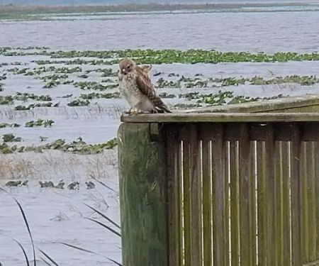 Joe Overstreet Landing