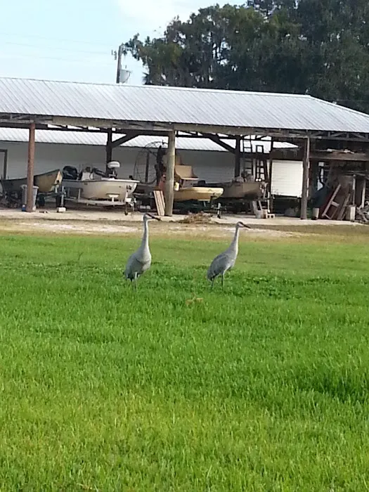 Casablanca RV Mobile Home Picture 2
