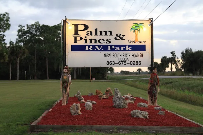 Palm & Pines RV Park Picture 3