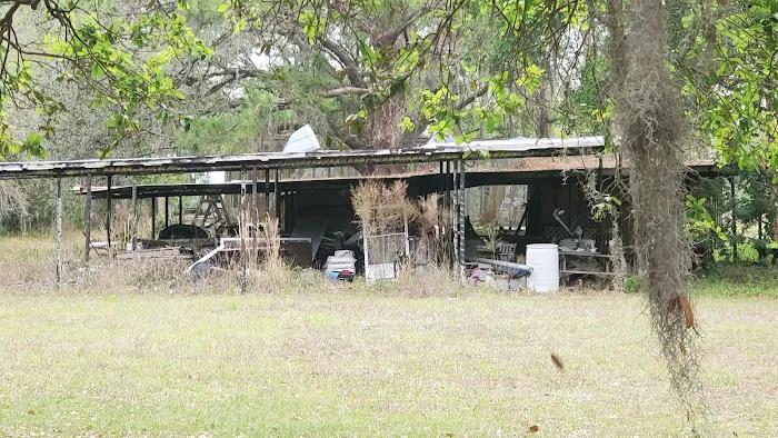 Palm & Pines RV Park Picture 9