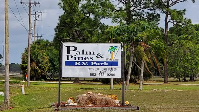 Palm & Pines RV Park Picture 8