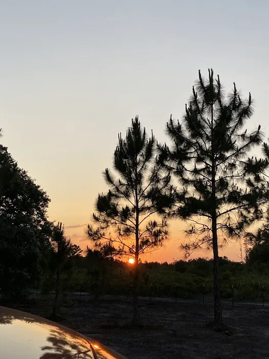 Rancho Tierra Linda Picture 6