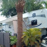 Palm Beach RV Park ico