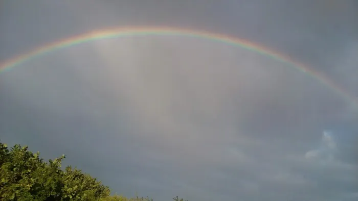 Palm Beach RV Park Picture 4