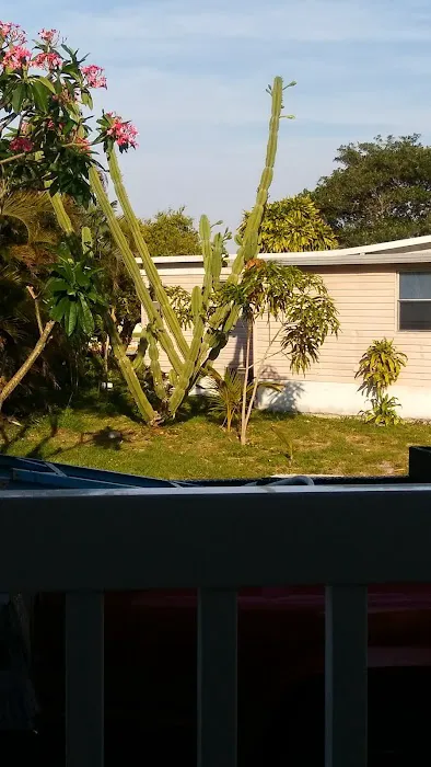 Palm Beach Colony Picture 3