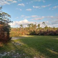Lake Wales Ridge SF Reedy Creek Campground ico