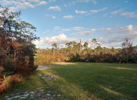 Lake Wales Ridge SF Reedy Creek Campground