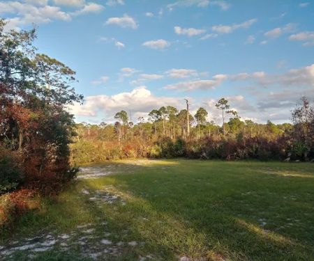 Lake Wales Ridge SF Reedy Creek Campground