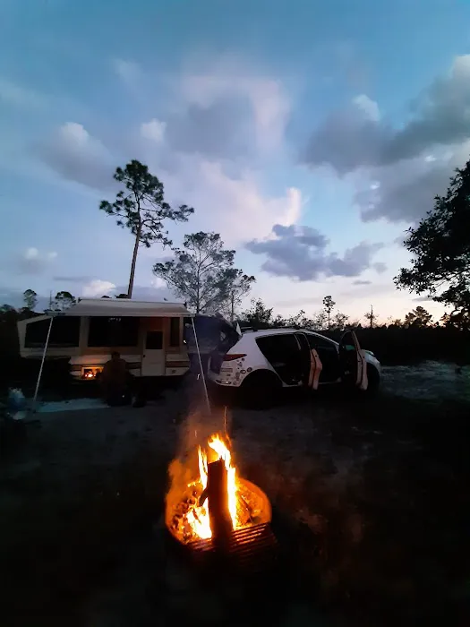 Lake Wales Ridge SF Reedy Creek Campground Picture 6