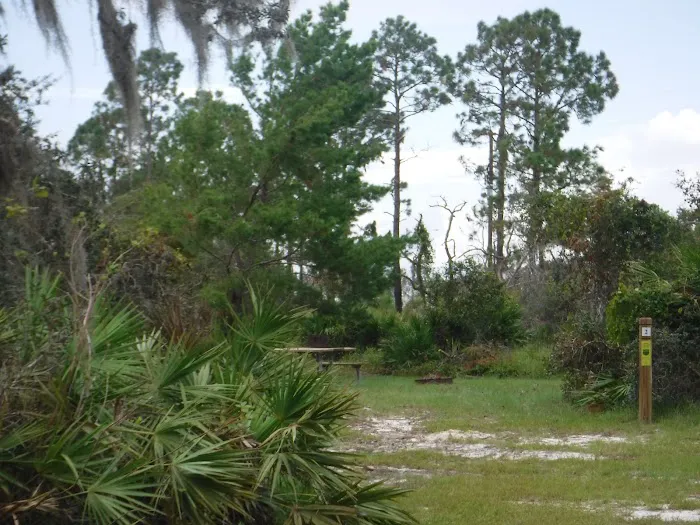 Lake Wales Ridge SF Reedy Creek Campground Picture 10