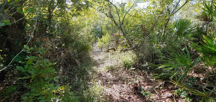 Lake Wales Ridge SF Reedy Creek Campground Picture 9