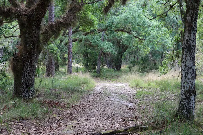 Creekside Camp Picture 8
