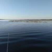 Lake Arbuckle Park and Campground ico