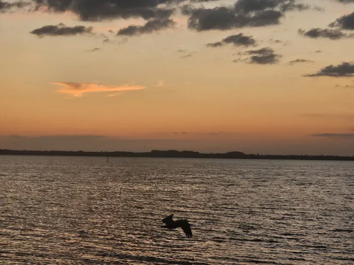 Patrick SFB Manatee Cove Campground Picture 3