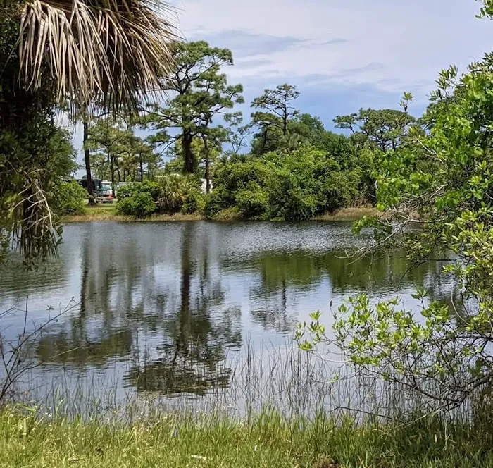 Wickham Park Campground Picture 5