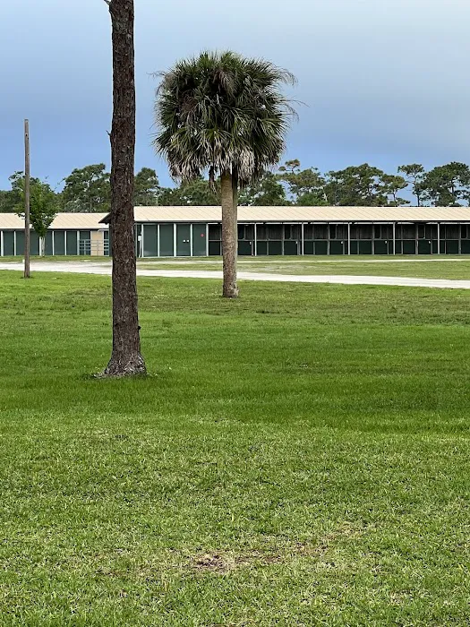 Wickham Park Campground Picture 6