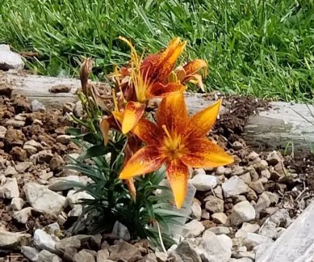 Rend Lake Mobile Home Park
