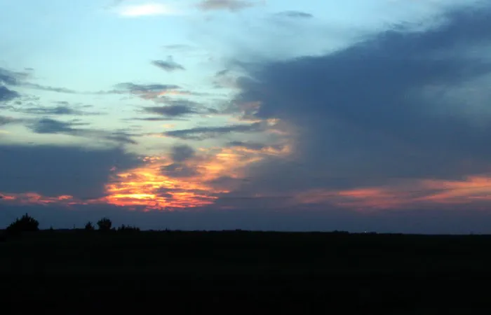 Coyote Ranch RV Park Picture 9