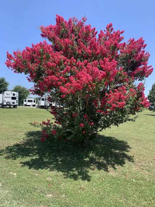 Leisure Time RV Park Picture 3