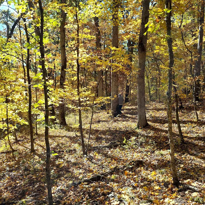 Dry Fork Recreation Area Picture 10