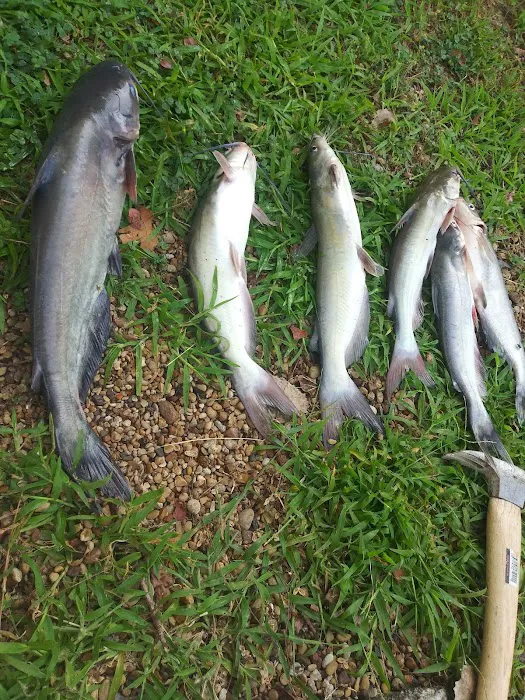 429 Resort and Marina - Lake Tawokoni, Tx Picture 3