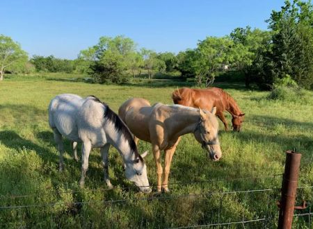 Royse City Rv Park