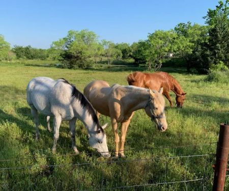Royse City Rv Park