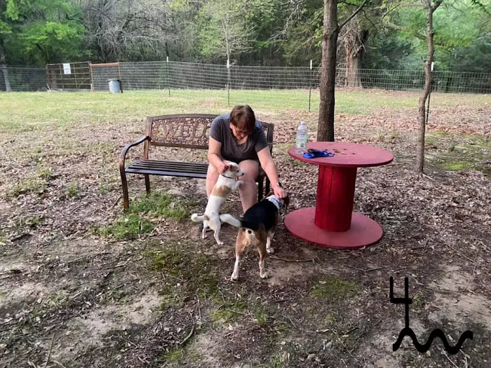 4 Rivers Hideaway Picture 2