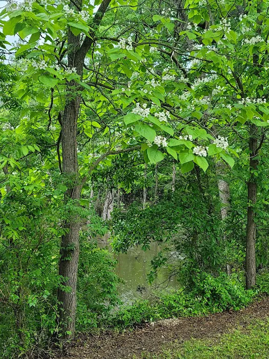 Osage Campground Retreat Picture 10