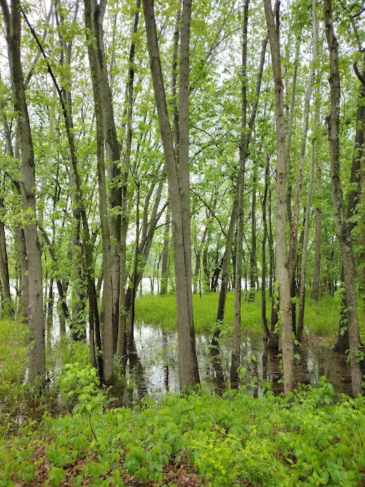 Pikes Camp Access Picture 10