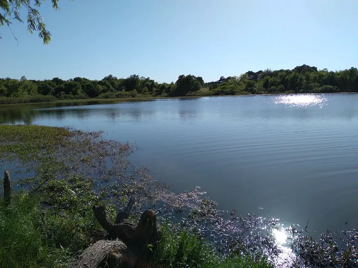 Chaney Point RV Park Picture 5