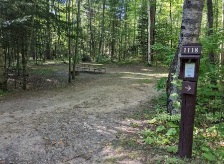 Cunard Lake Campground