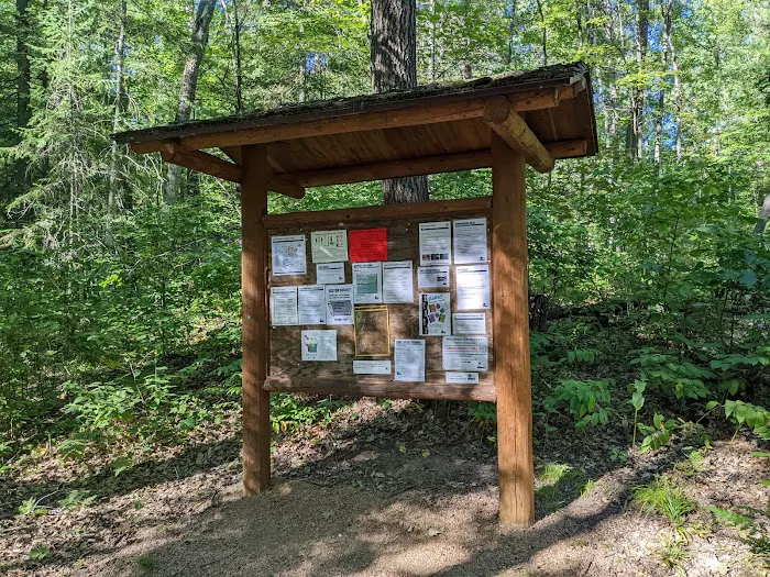 Cunard Lake Campground Picture 4