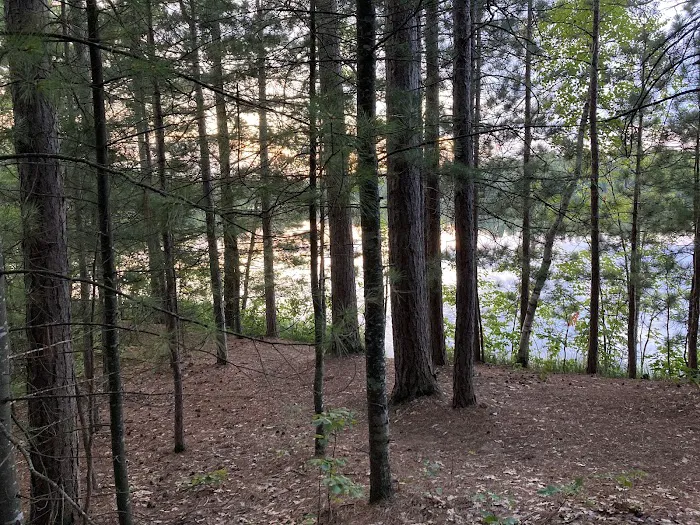 Cunard Lake Campground Picture 10