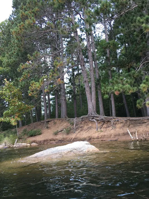 Buffalo Lake Campground Picture 7