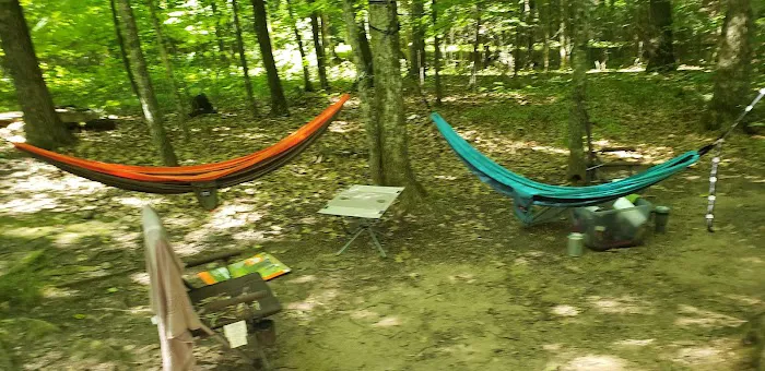 Clear Lake Campground Picture 6