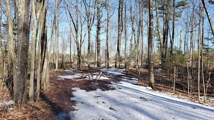 Clear Lake Campground Picture 10