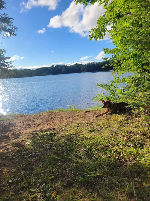 Carrol Lake Campground Picture 1