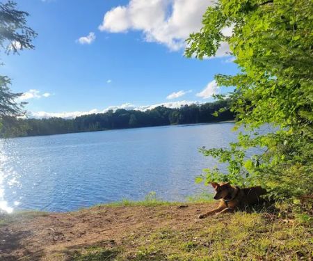 Carrol Lake Campground