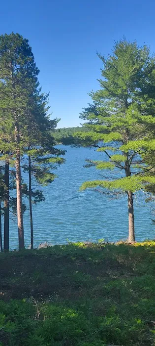 Carrol Lake Campground Picture 10