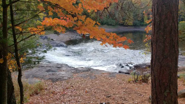 Cedar Falls Campground Picture 1