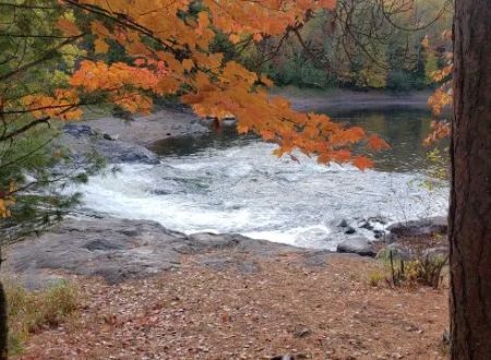 Cedar Falls Campground