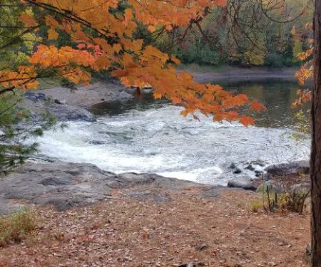 Cedar Falls Campground