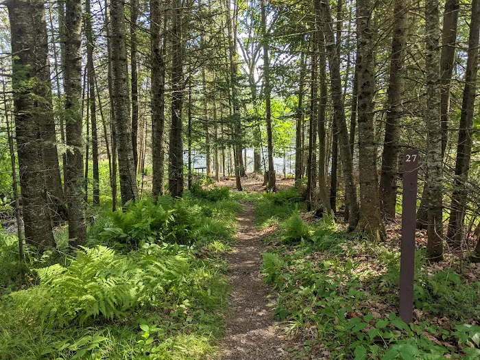 East Star Lake Campground Picture 2