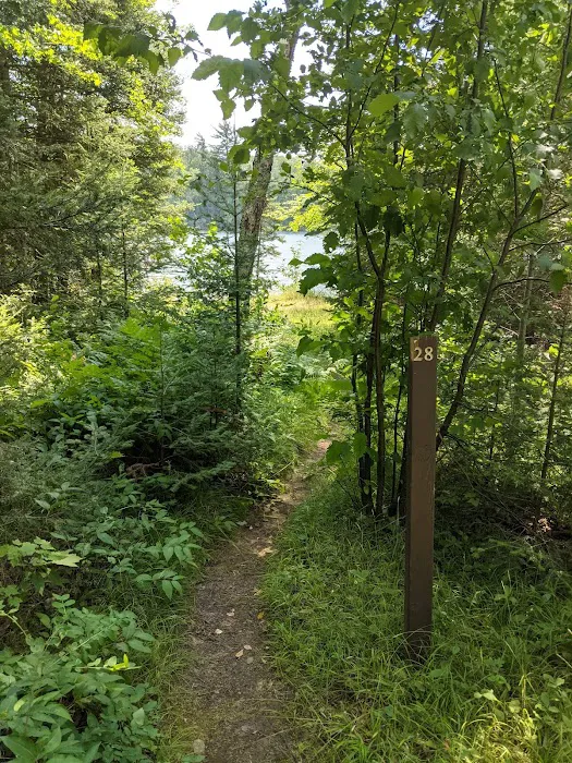 East Star Lake Campground Picture 9