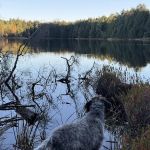 Sylvania Campground