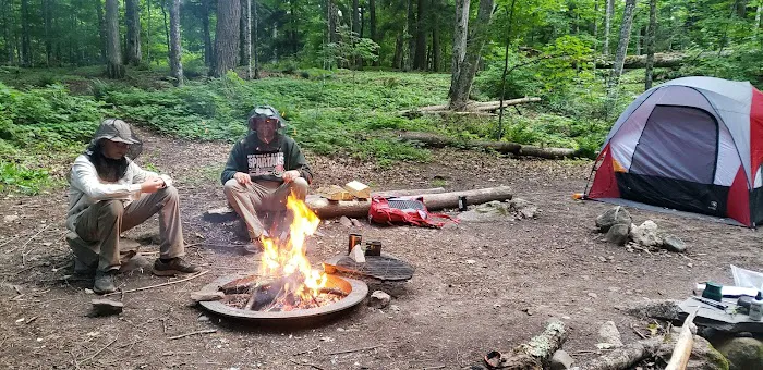 Sylvania Campground Picture 7
